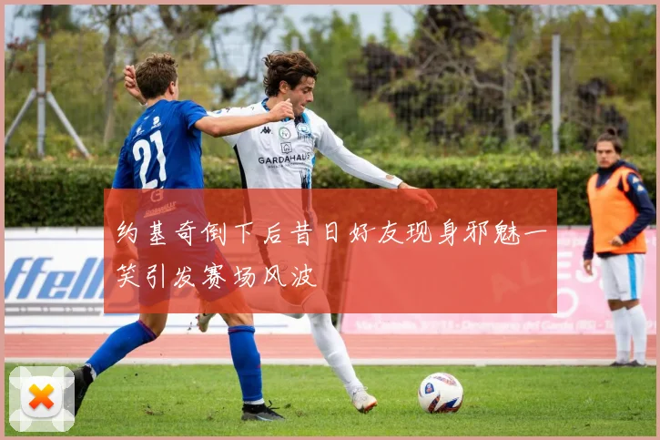 约基奇倒下后昔日好友现身邪魅一笑引发赛场风波